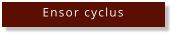 Ensor cyclus